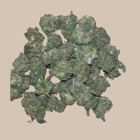 NEW!! JASON V FREDDY 14G INDICA (MID-SHELF)