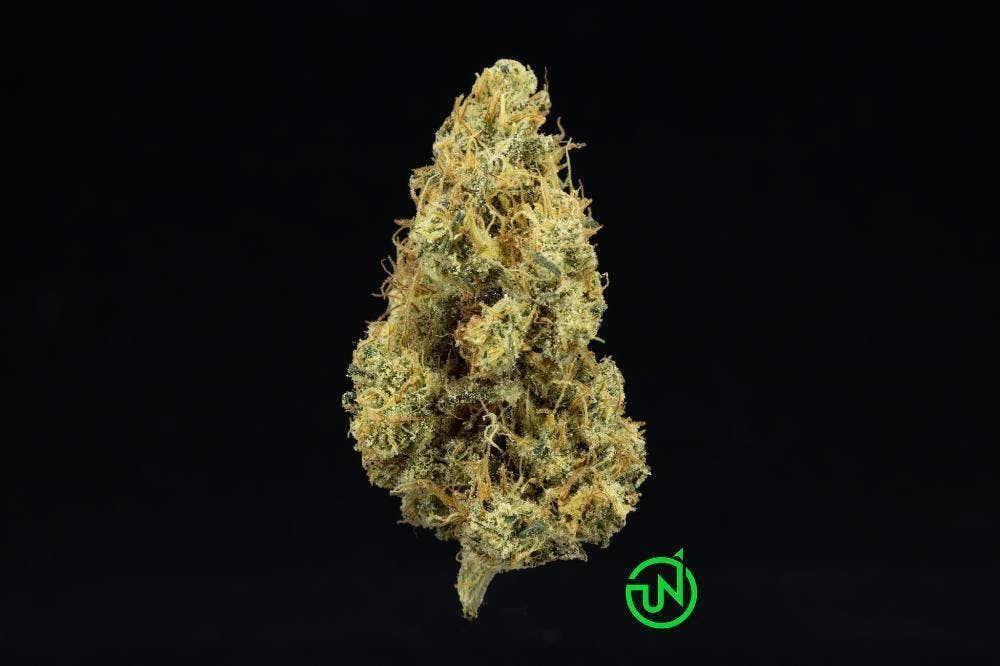 Dutch Treat