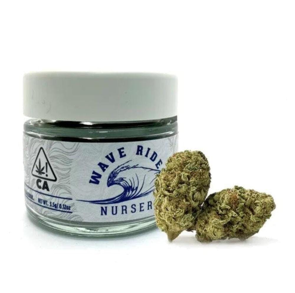 Wave Rider — Lemon Barz