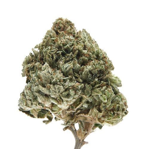 Sour Garlic Bread — Big Buds - 3.5g
