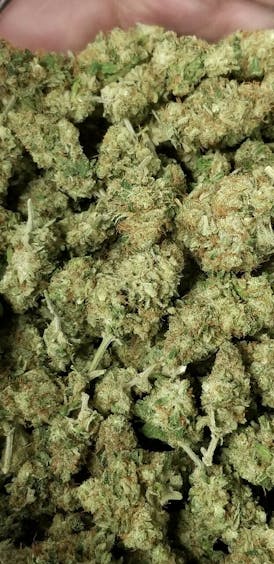 Afghani