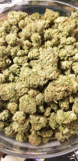 NYC Diesel