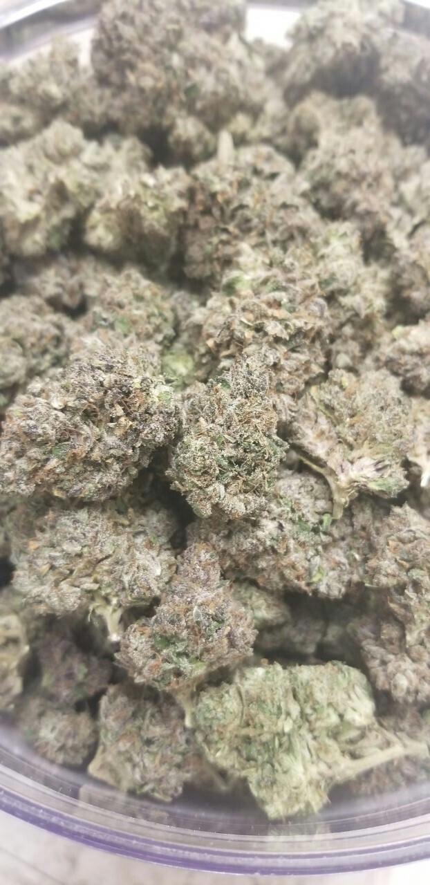 Medical Gelato Cake