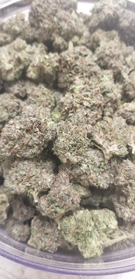Medical Gelato Cake