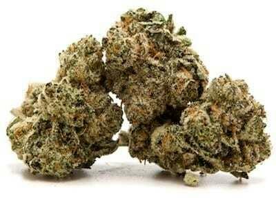 Grease Monkey $149 Oz