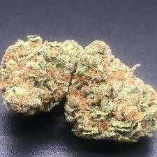 Medical Chunky Glory
