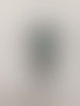 Colorado Bear Shot Glass