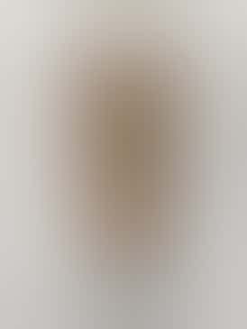 Colorado Moose Cork Shot Glass