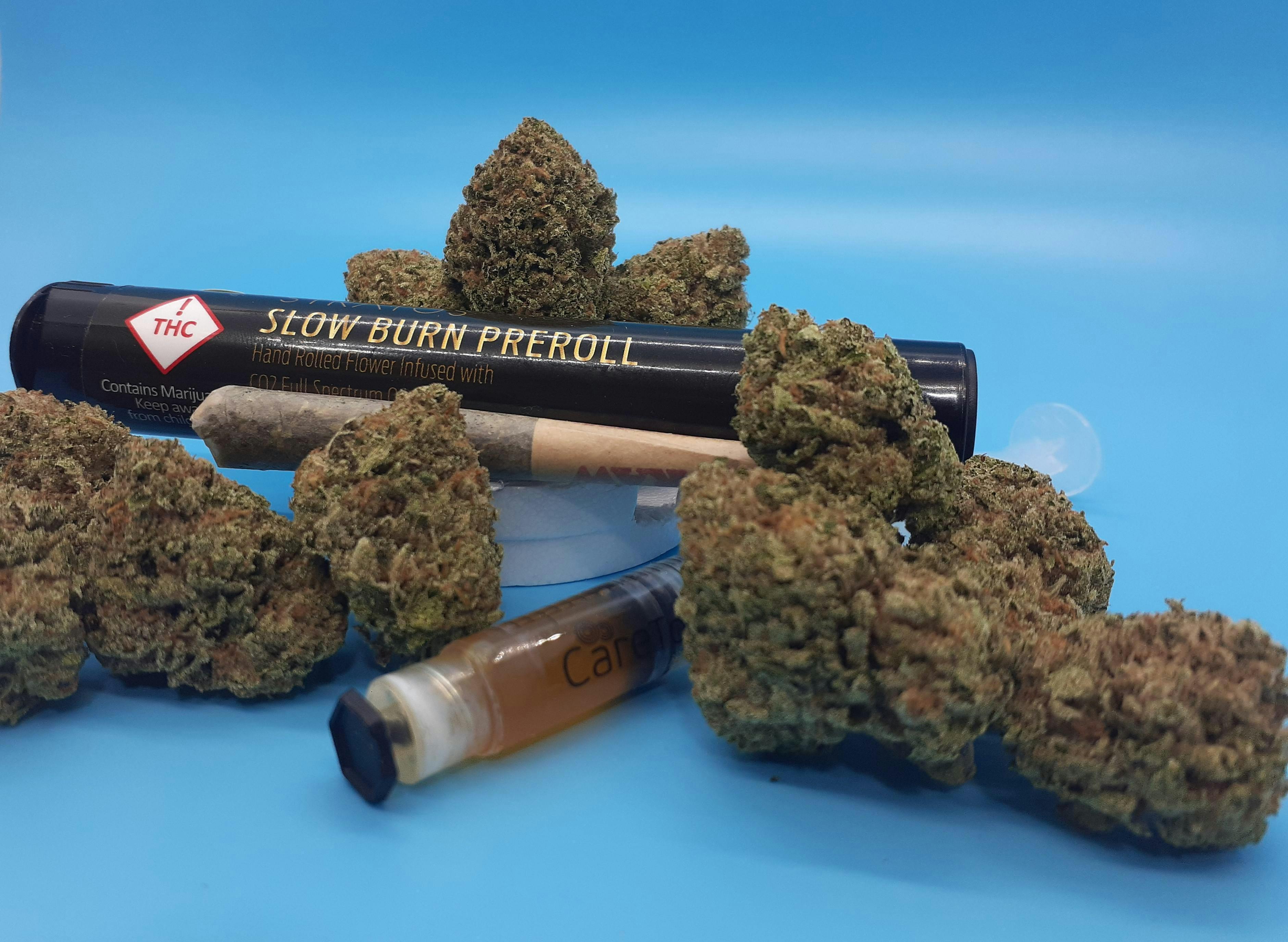 Tally Man Sativa Slow Burn Full-spectrum Oil Infused Pre-roll