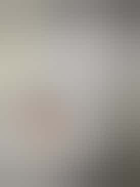 Glue Cookies House Sugar Wax