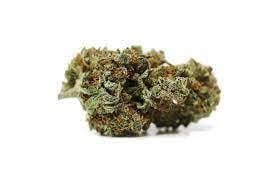 Medical Grease Monkey