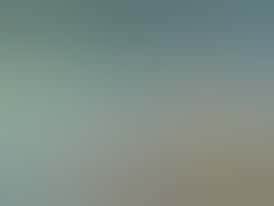 Creamy Gelato OG House 5-Pack PreRolls (3.5g Total)