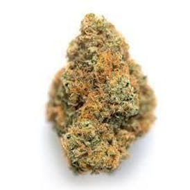 Medical Orange Ghost