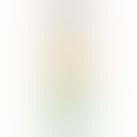 Pineapple Papaya Drink 100mg