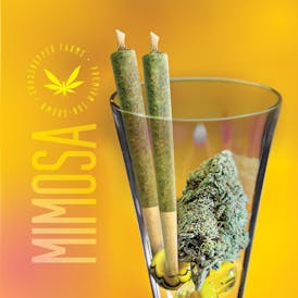 Mimosa Cone, 1g