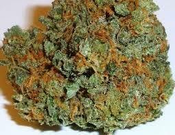 Durban Kush $99 Oz