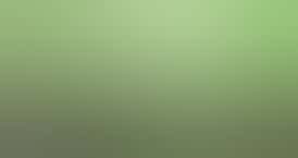 Red Headed Stranger Clone