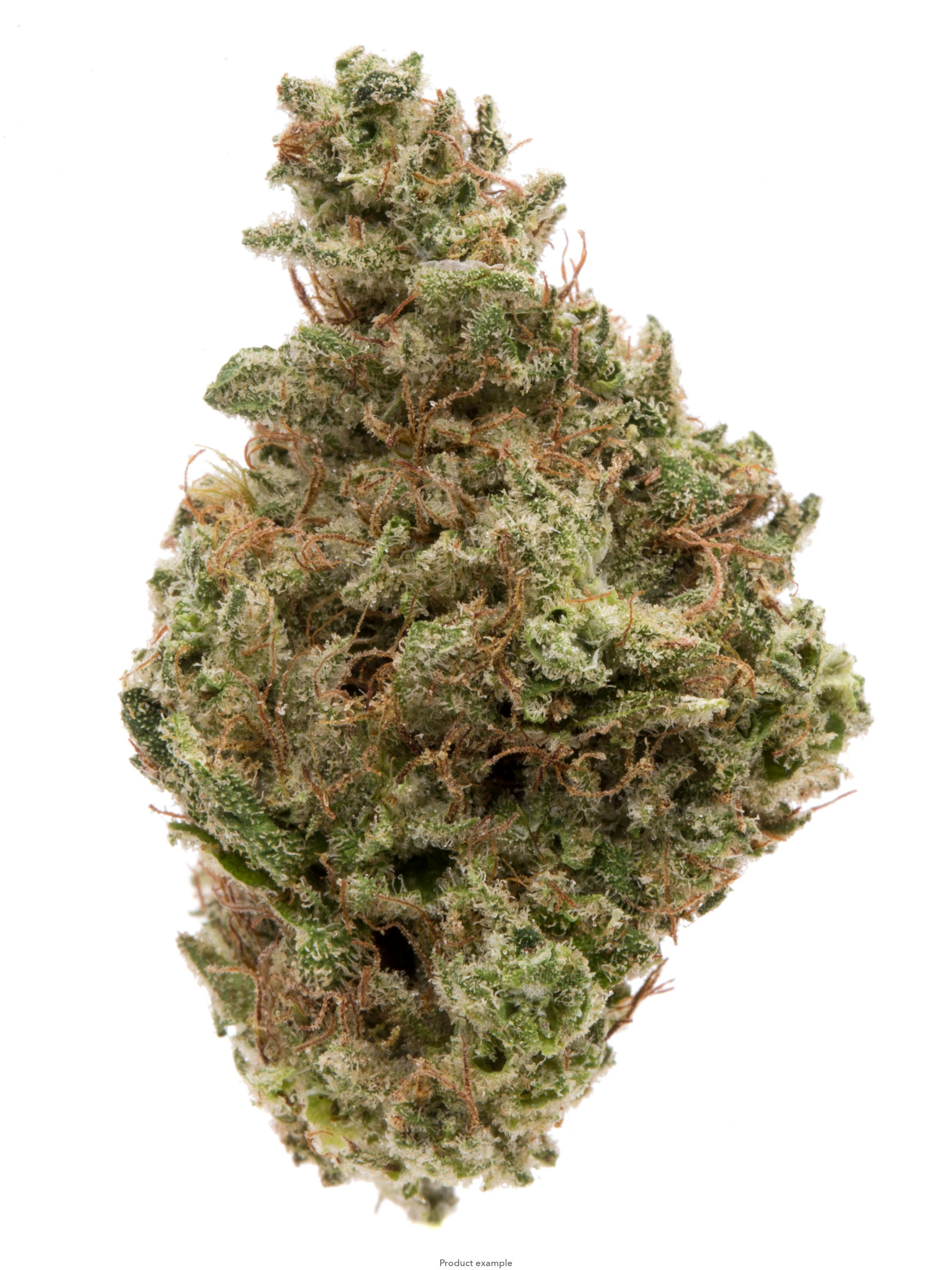 G13 Haze 28g Premium Smalls Oz Bag