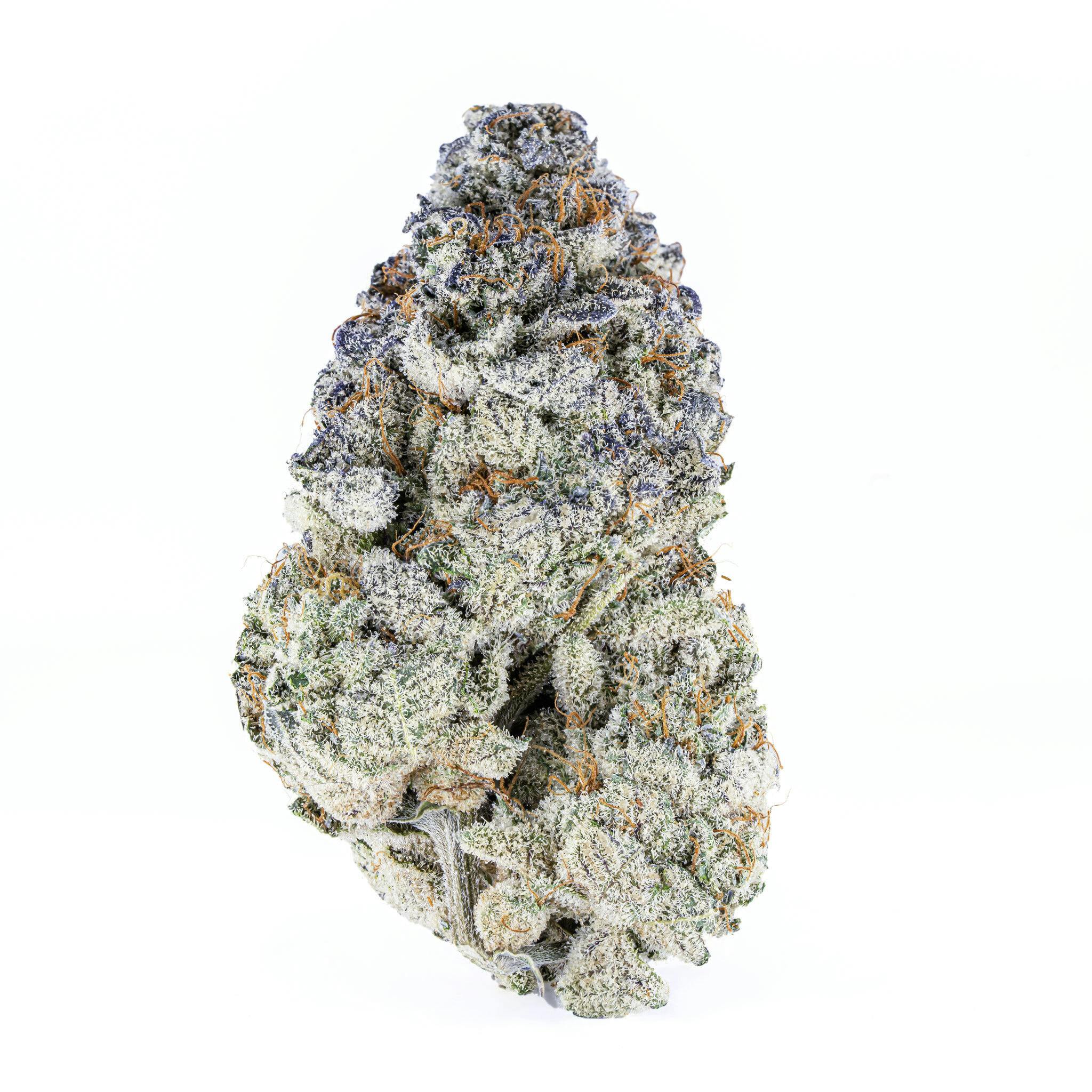 Chili Azul - Indica Hybrid at New World Organics