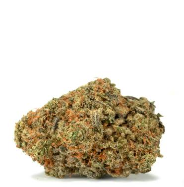 Rainbow Sherbet - Hybrid at New World Organics