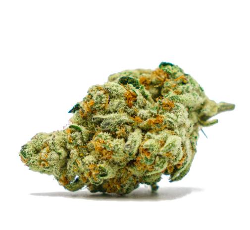 Slurricane - Indica Hybrid at New World Organics