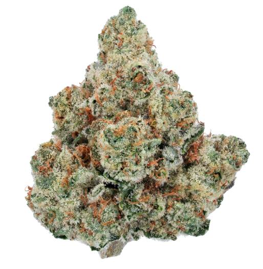Strawberry Kush - Sativa Hybrid (Sensi Farms)
