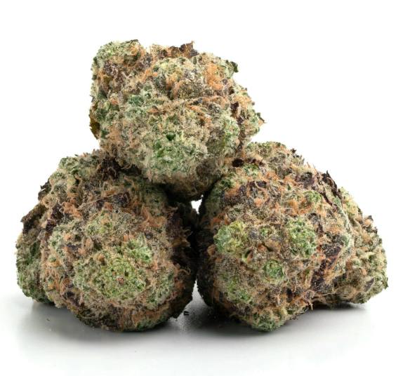 Cherry Bacio - Indica Hybrid (BOGO EVERY DAY)