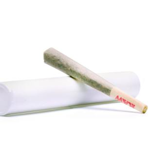 1/2g Hybrid Dog Walker Preroll at New World Organics