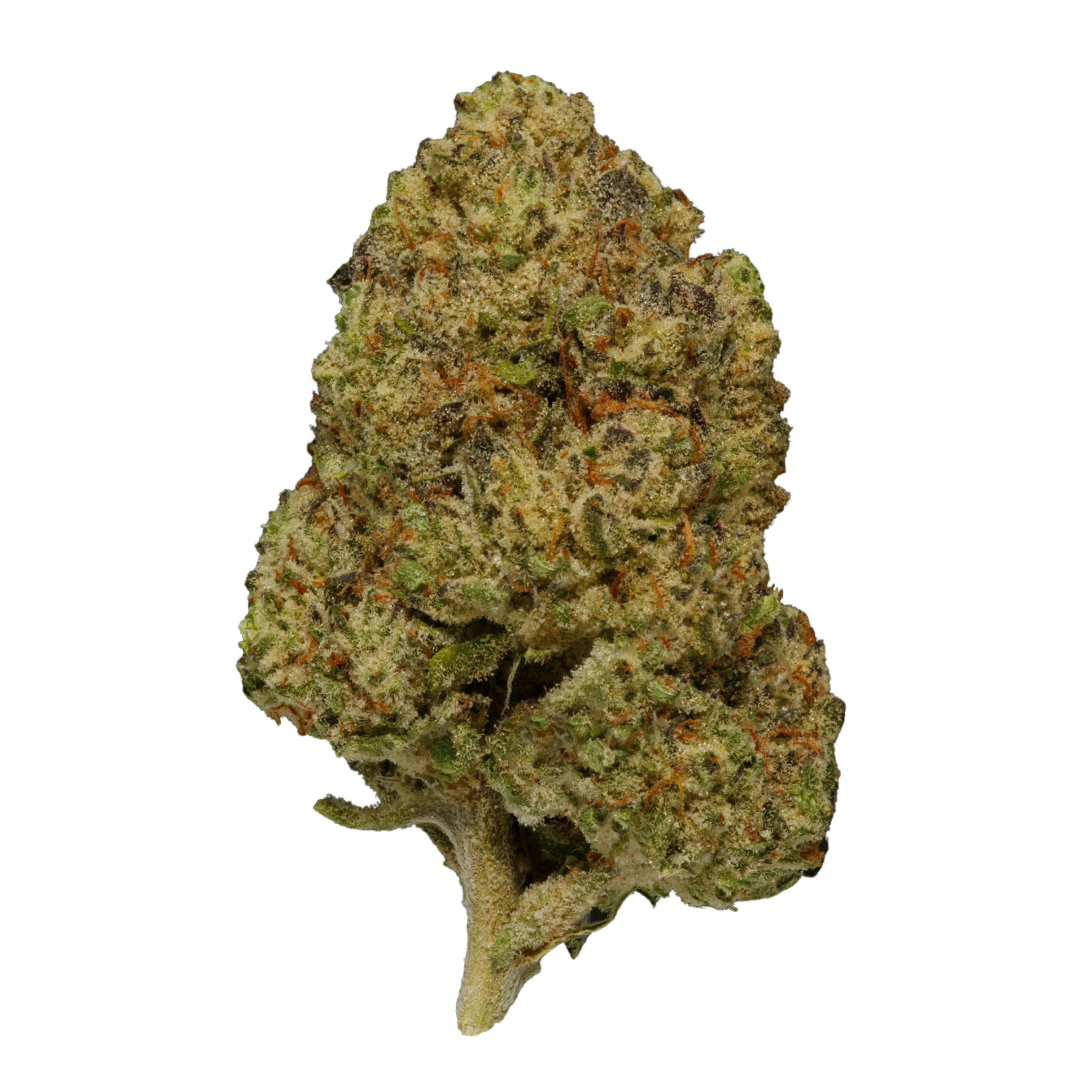 Triple Burger - Indica Hybrid