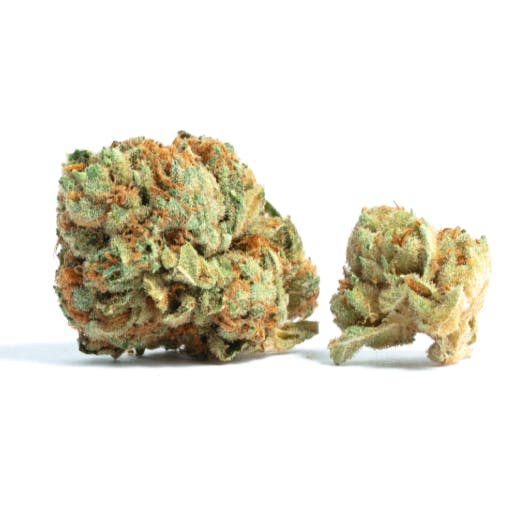 Gold Dust #4 - Indica Hybrid at New World Organics