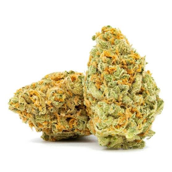 Strawberry Guava - Indica Hybrid