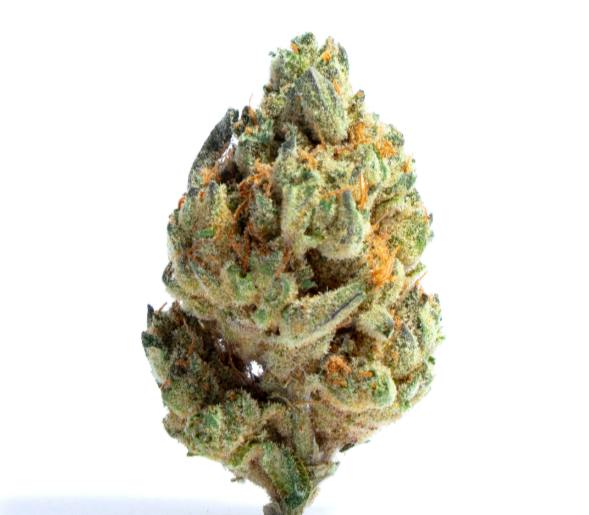 Pineapple Sorbet - Sativa Hybrid