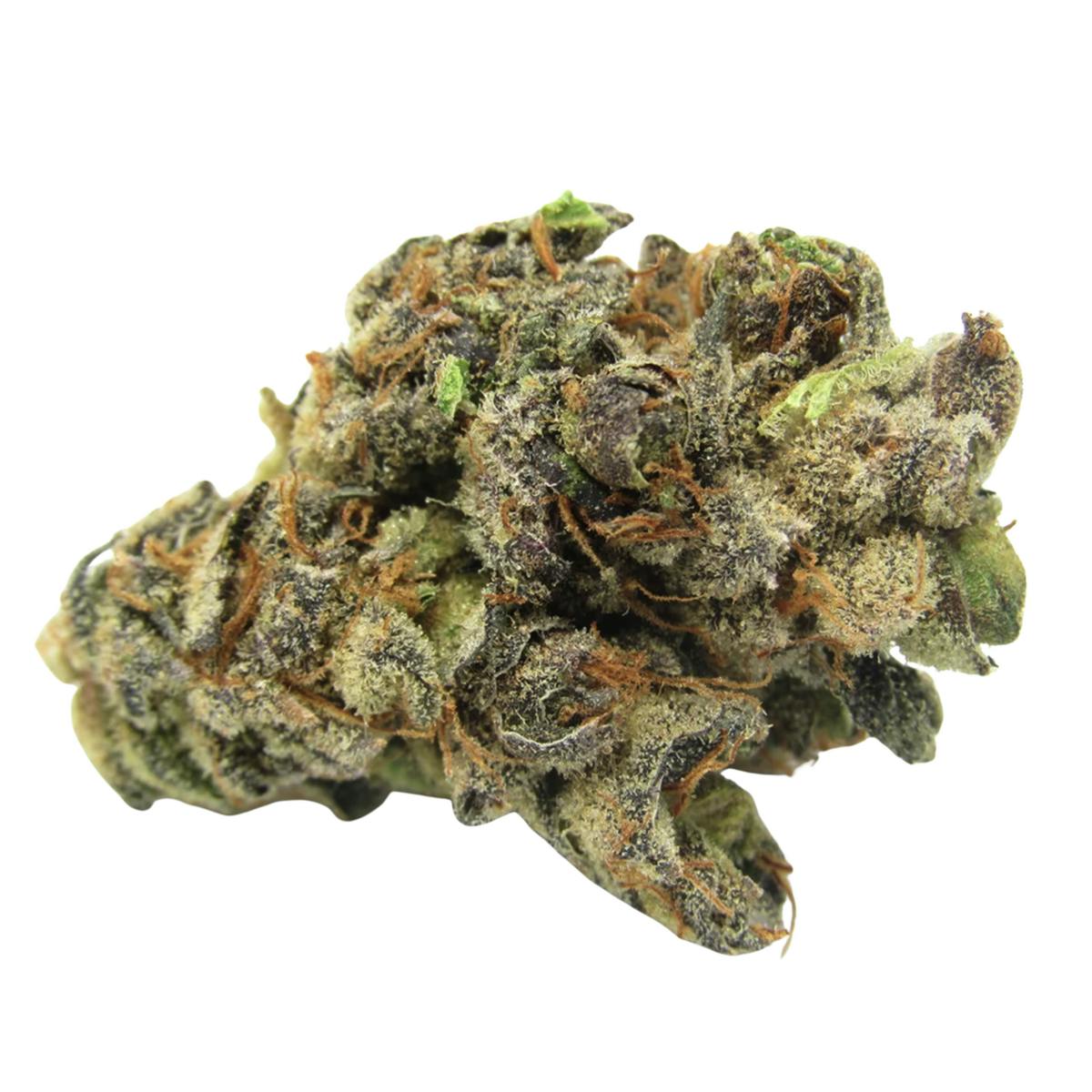 Storm Shelter | Big Buds | 3.5g