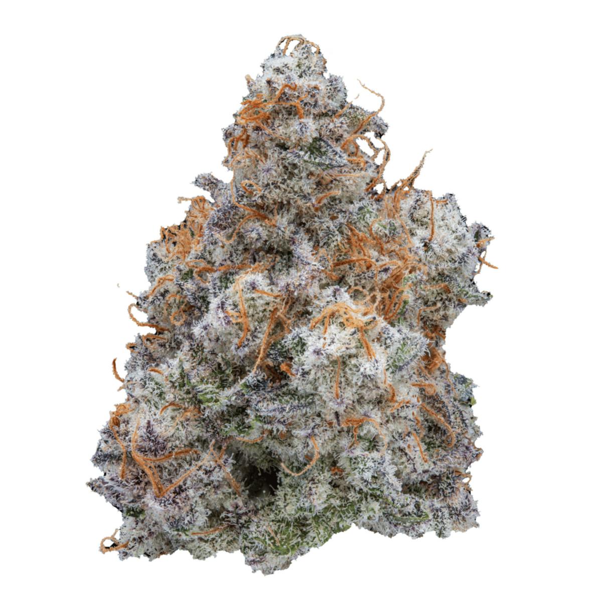 Mac 1 - Hybrid (Canna Cabana)