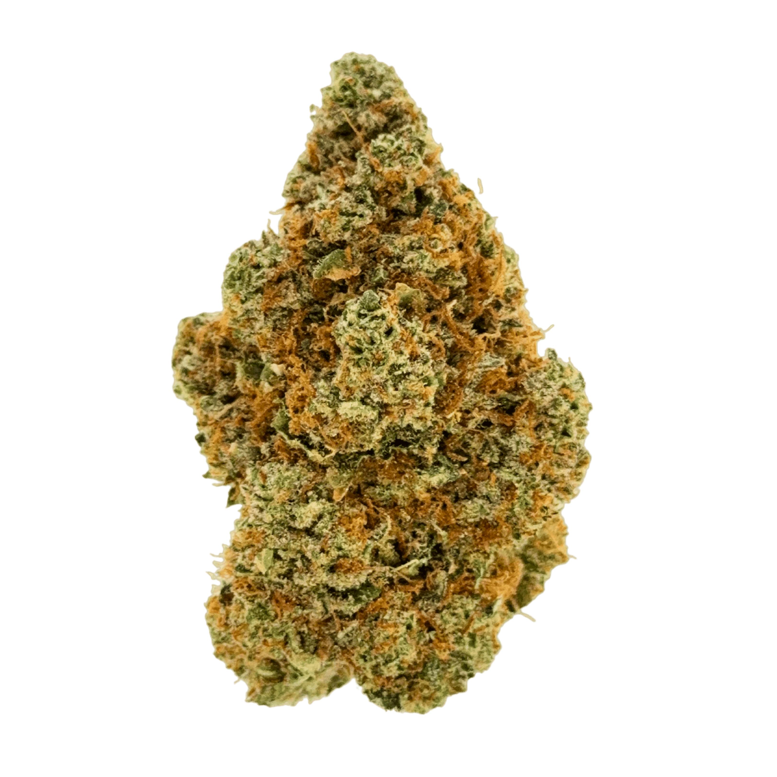 Crescendo | Big Buds | 3.5g