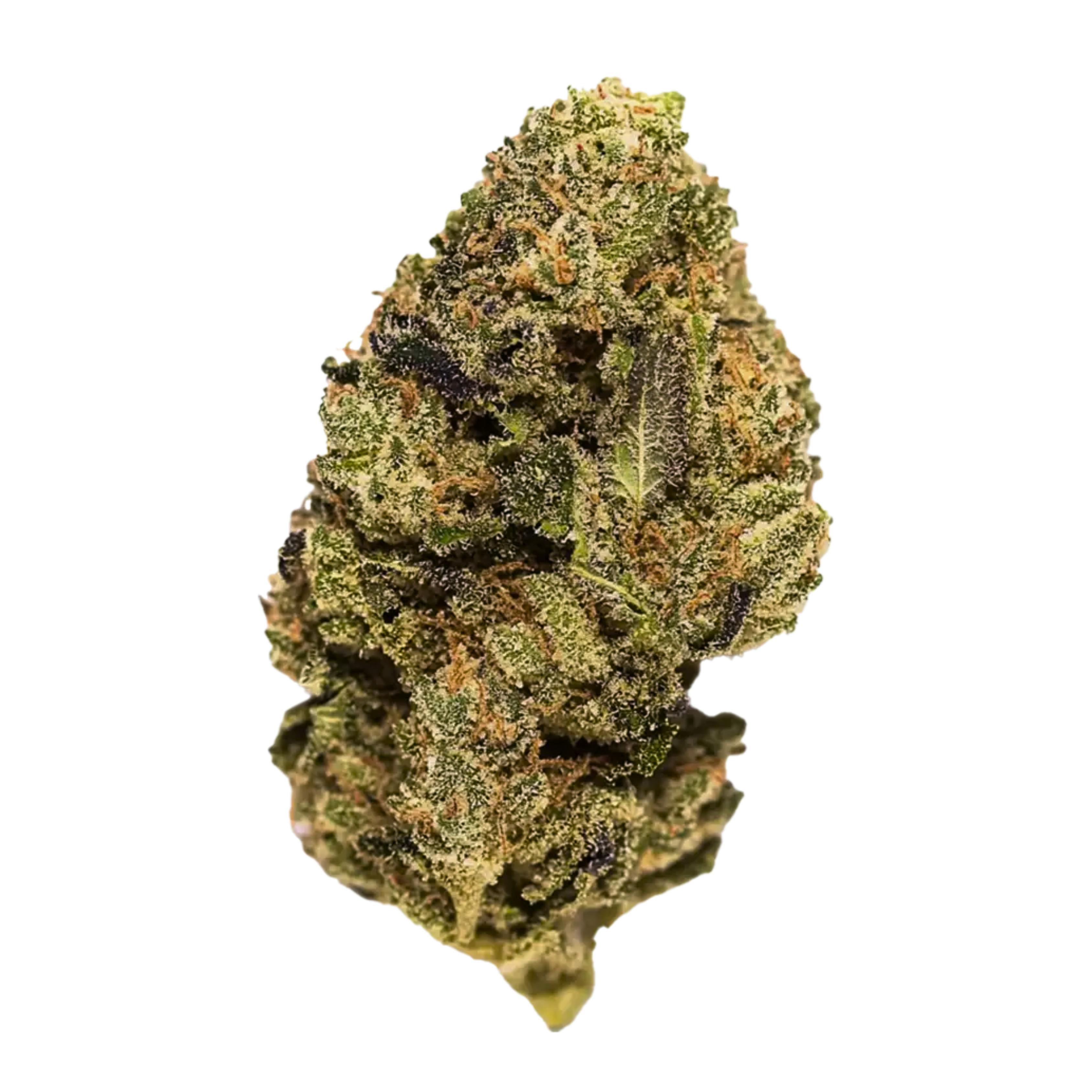 Pure Michigan - Indica Hybrid at New World Organics