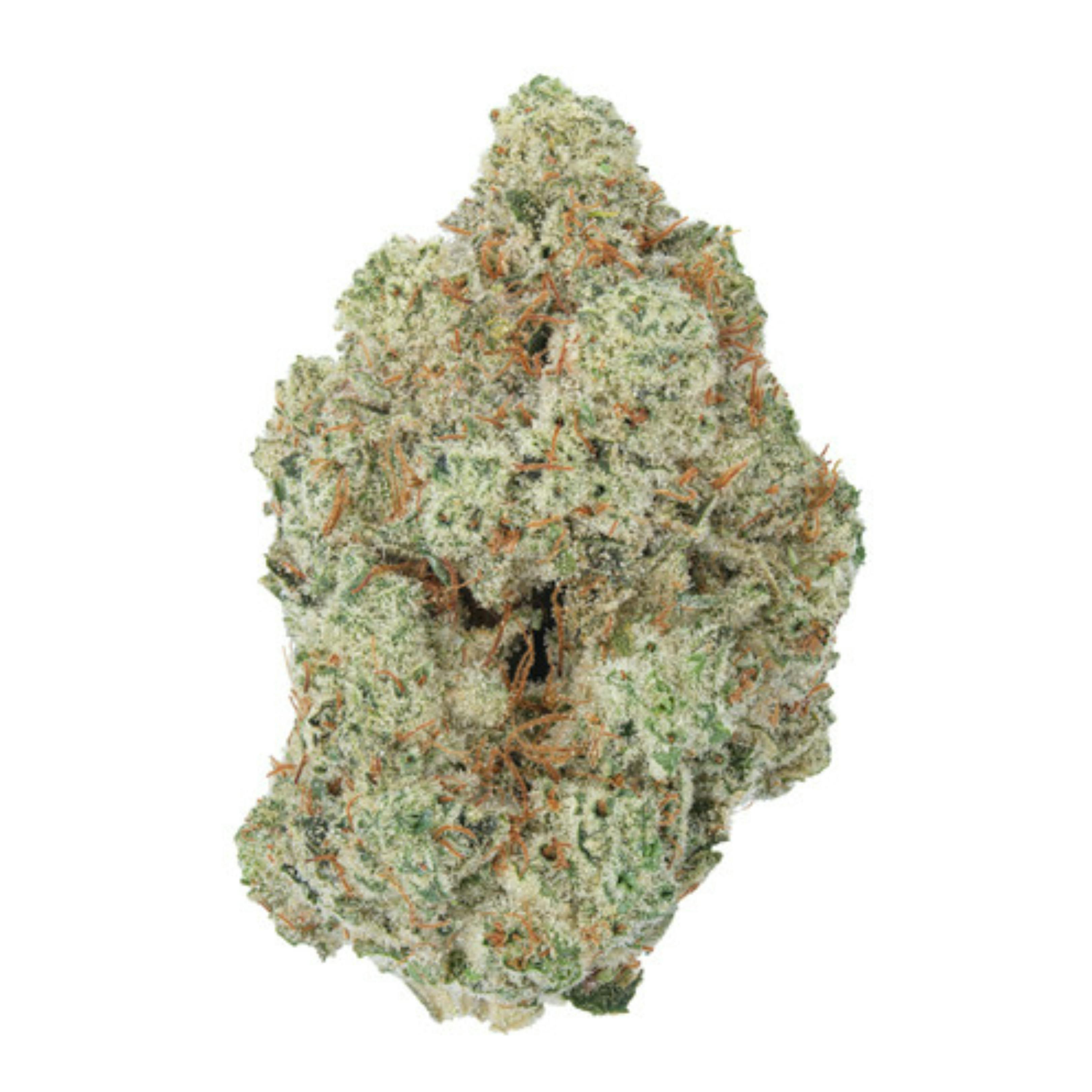GG4 - Indica Hybrid (Burn Crew)
