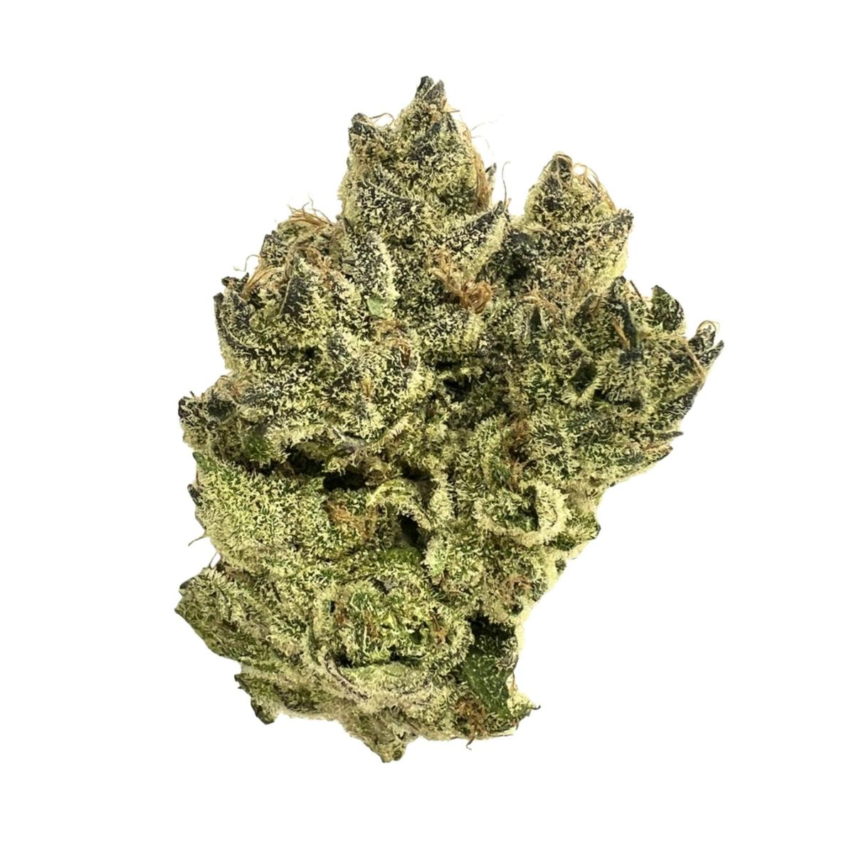 Dogwalker OG - Indica Hybrid at New World Organics