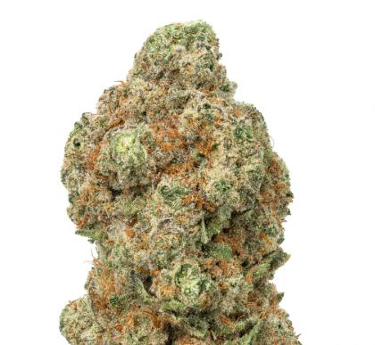 Richie Rich | 3.5438g