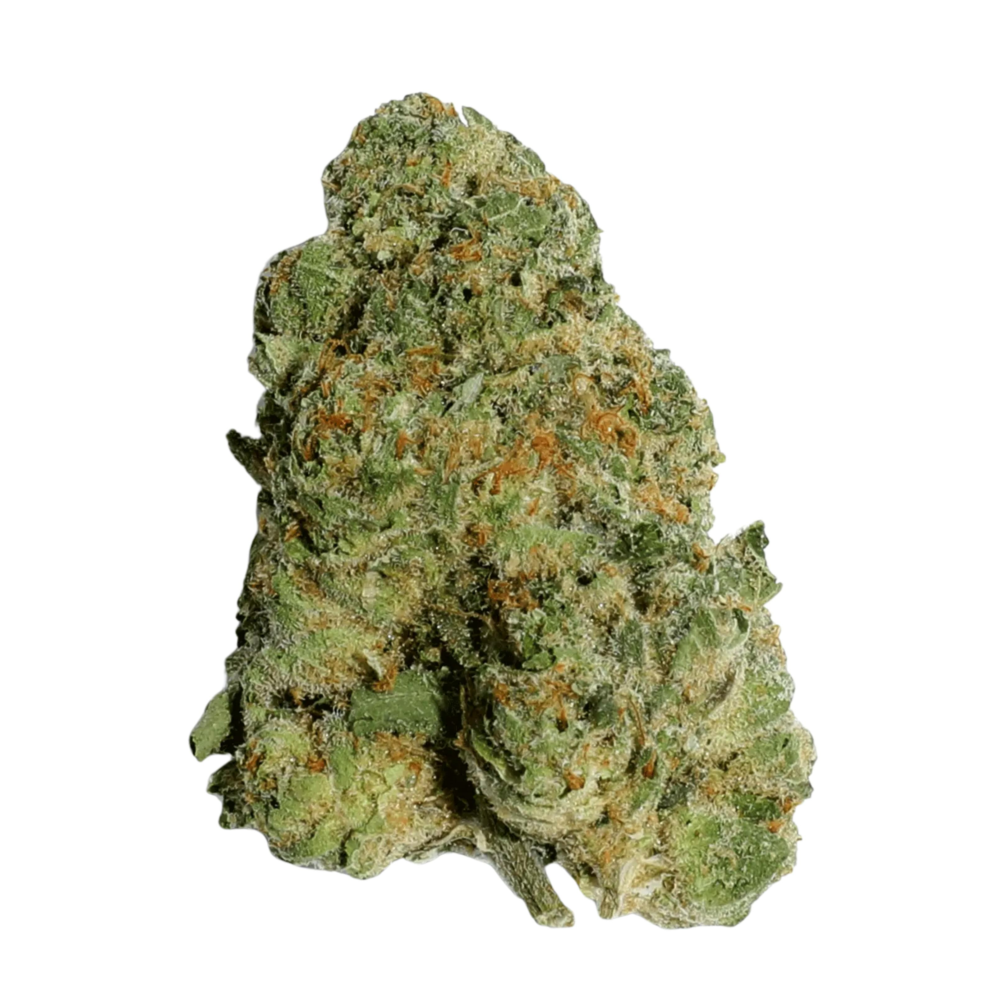 Pablo's Revenge | 0.125oz