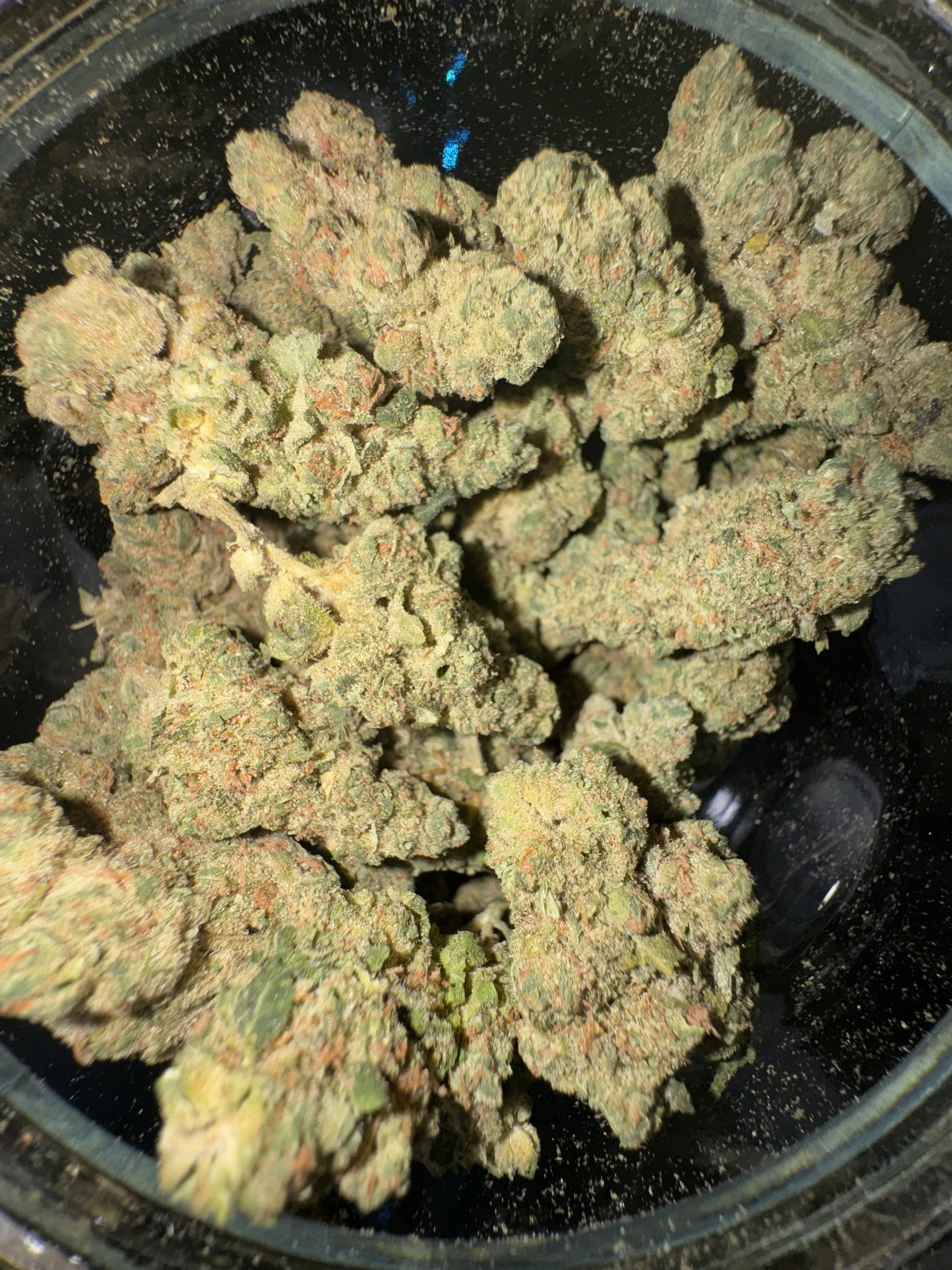 G13 Genius Buds