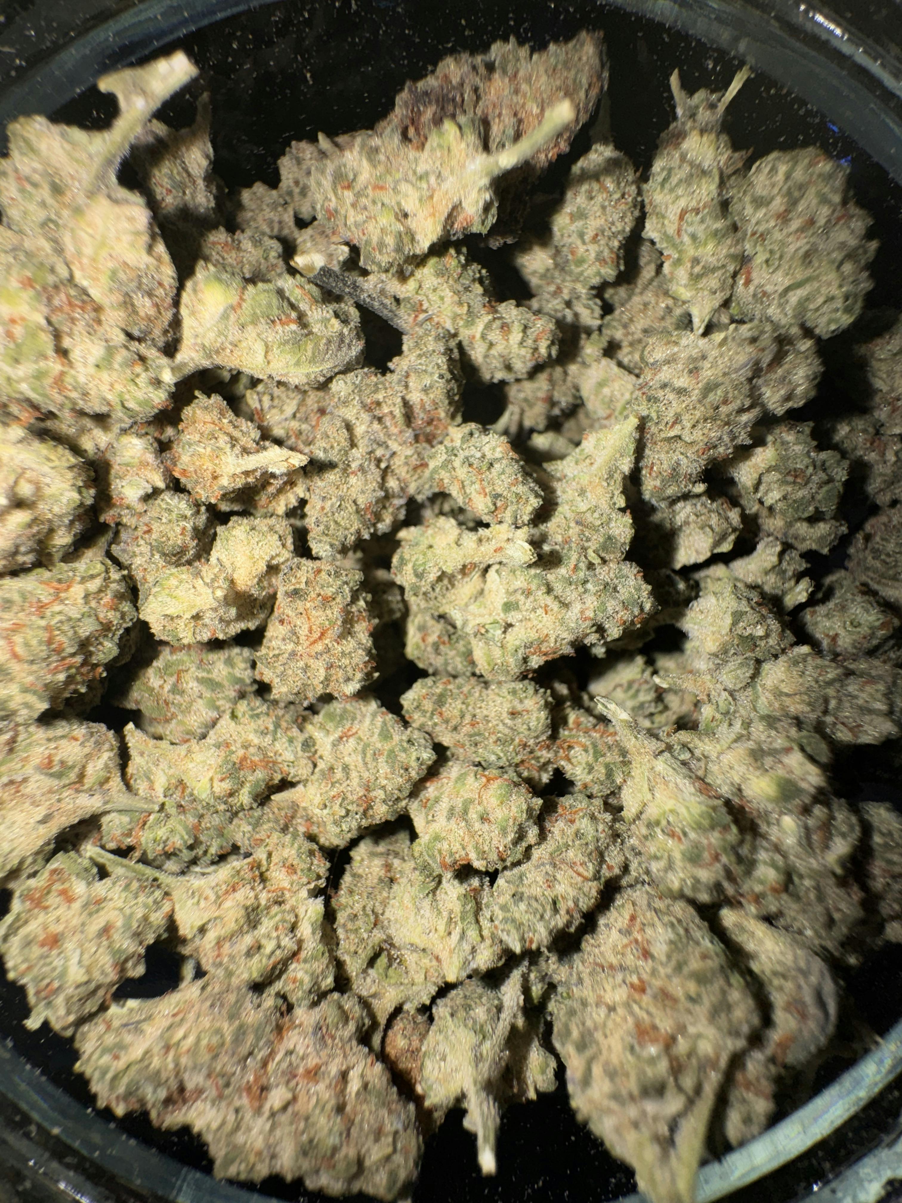 Trich Beast Popcorn
