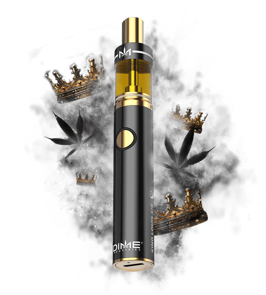 DIME DISPOSABLE 2g