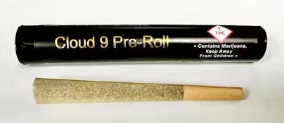 Cloud 9 Sherb Cream Pie