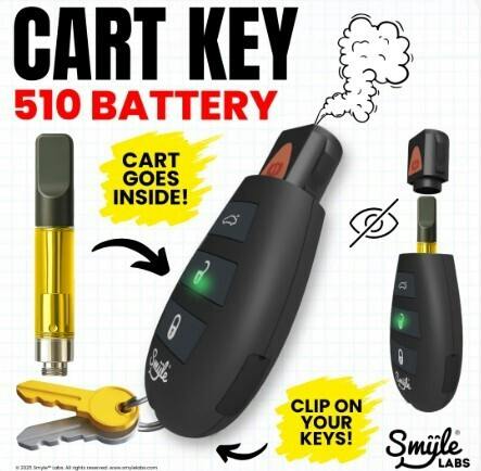 Penjamin Car Key Battery