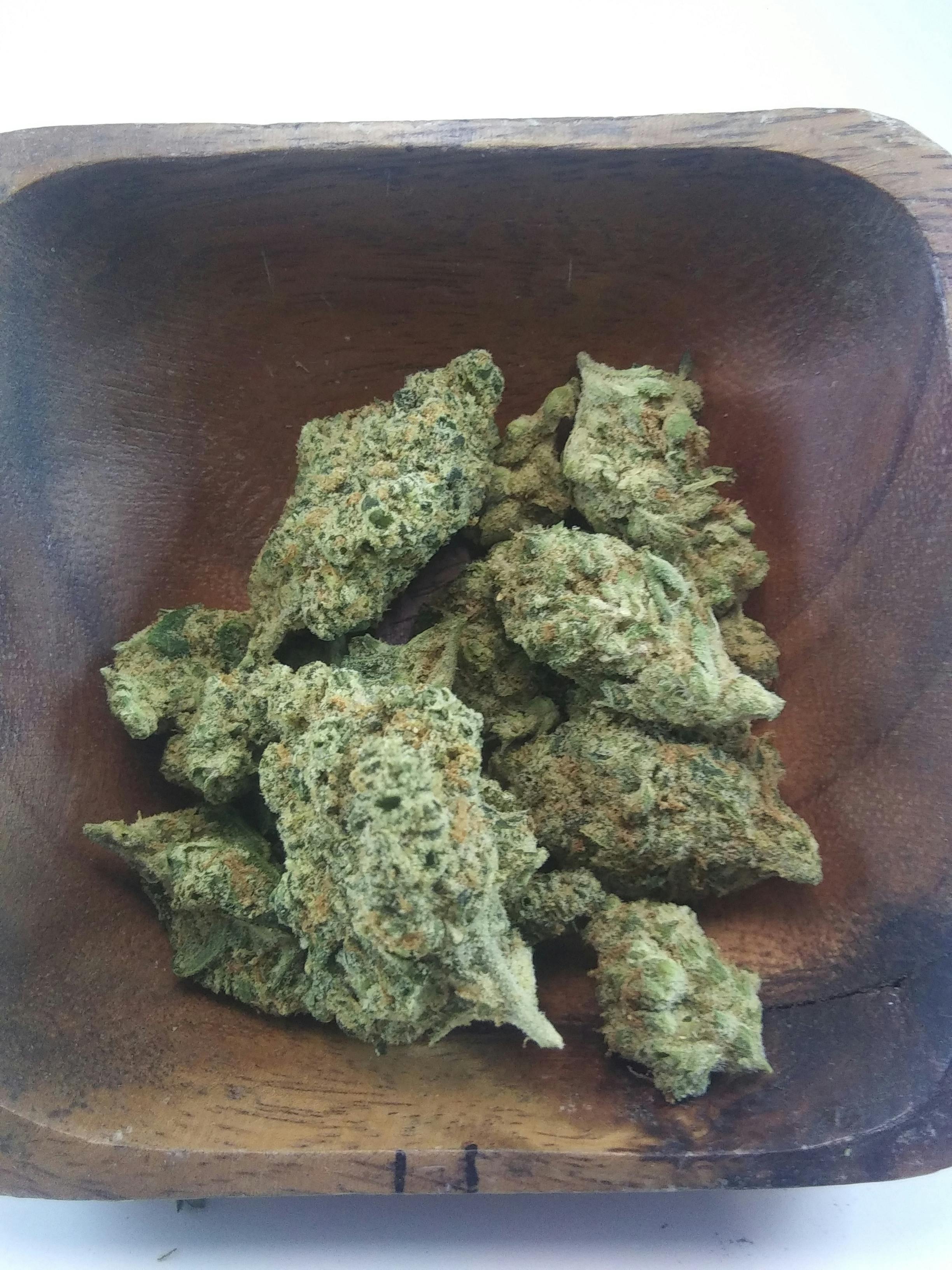 Oz Phantom Dawg