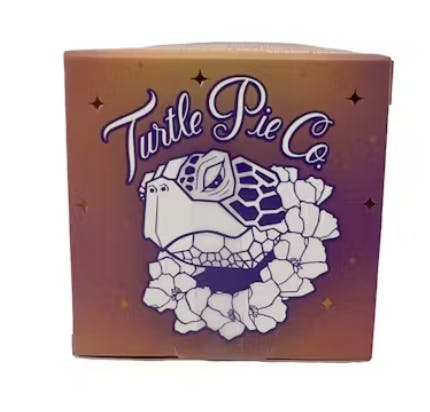 Turtle Pie X — Rose