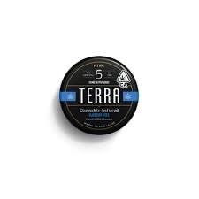 Terra Blueberry Bites — Blueberry