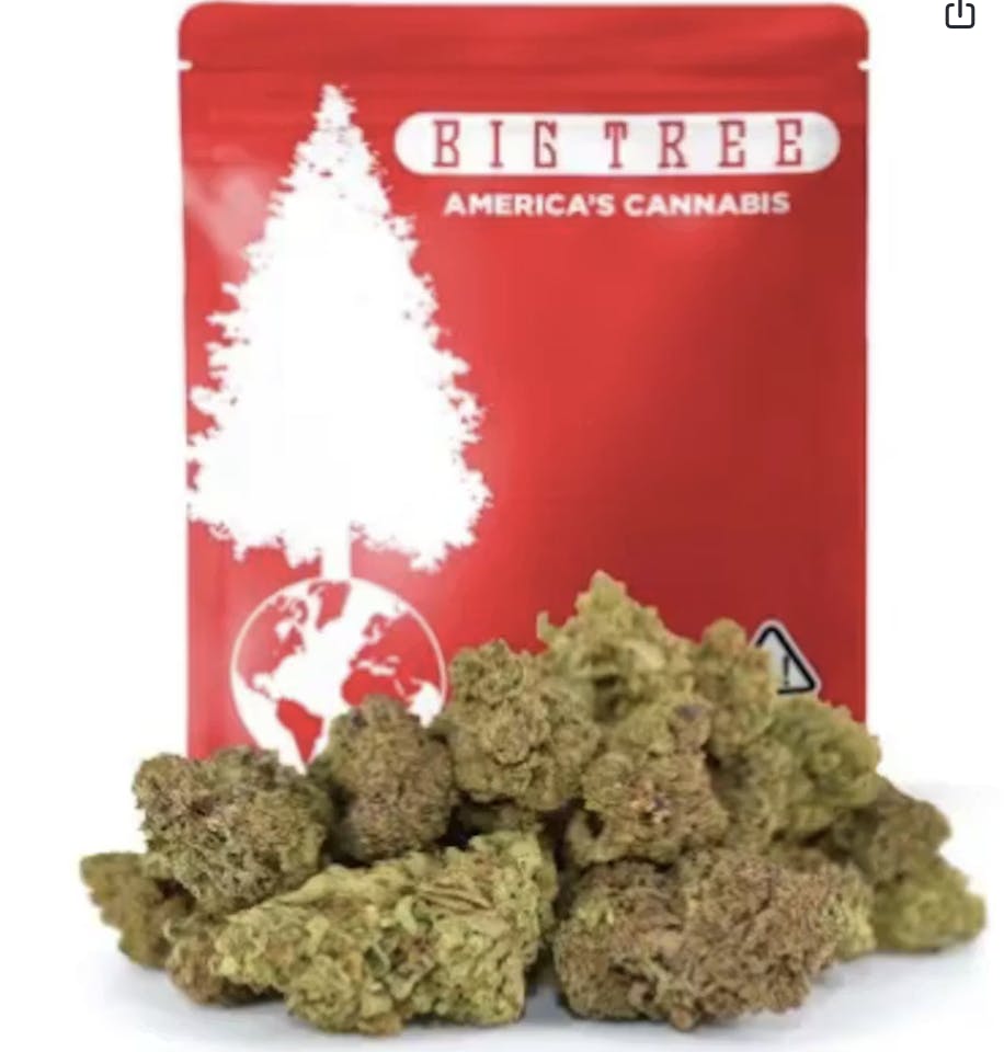 Red Zushi (H): Big Tree