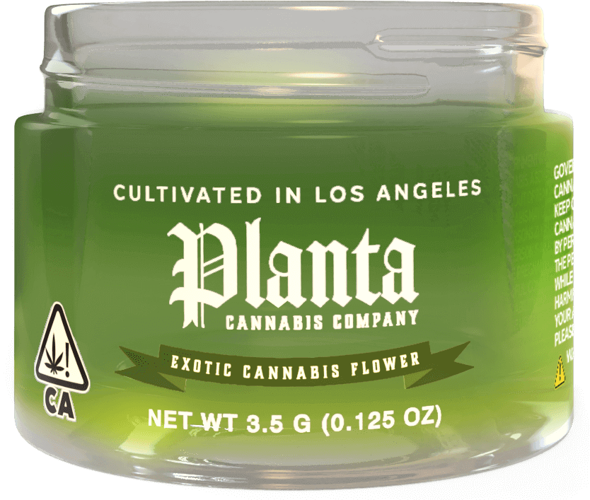 Planta Cannabis Co | Zangria | Big Buds | 3.5g